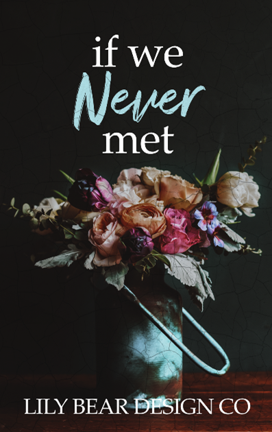 If We Never Met
